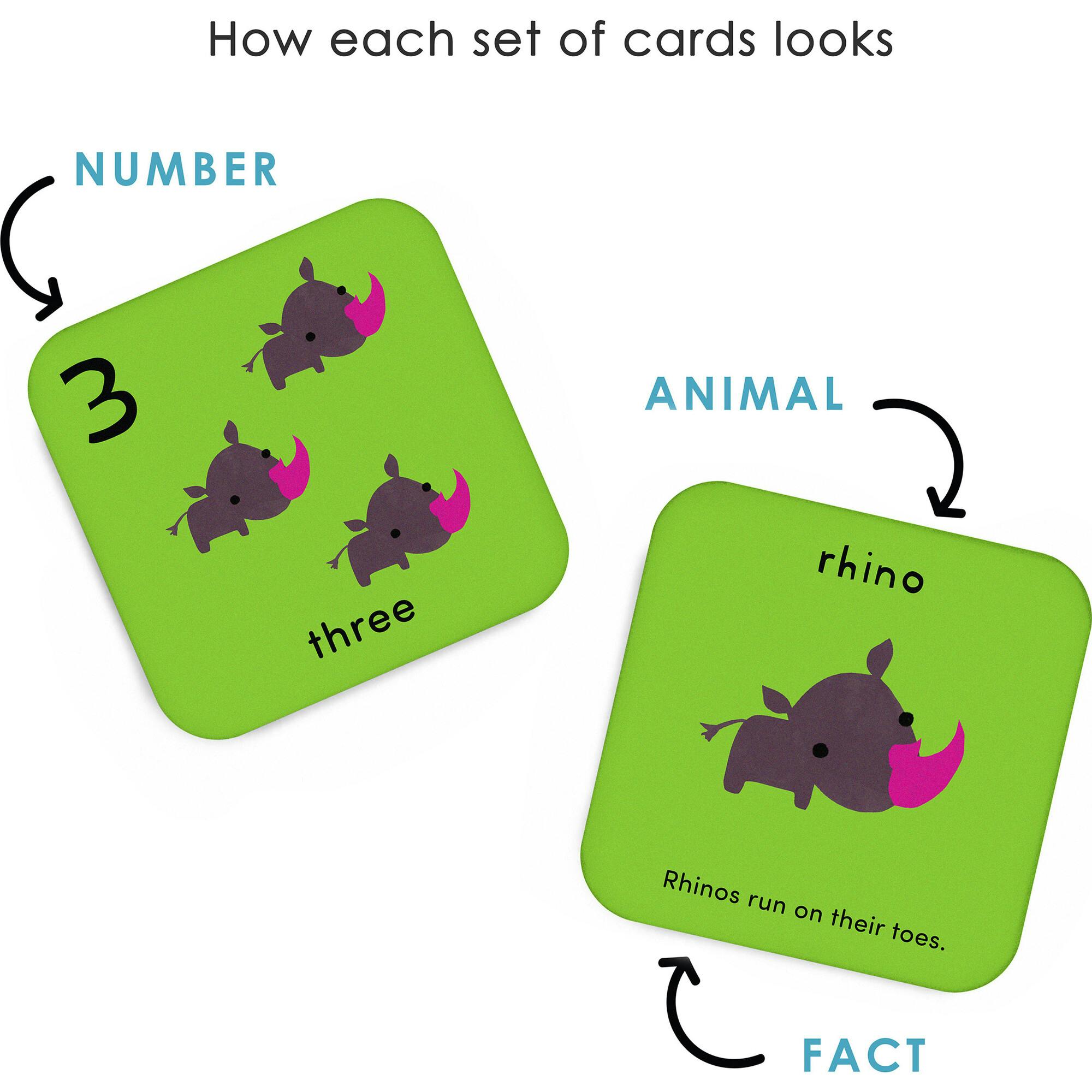 What's The Number? Number Flashcards