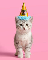Cat Mini Party Hats - 10 paper hats