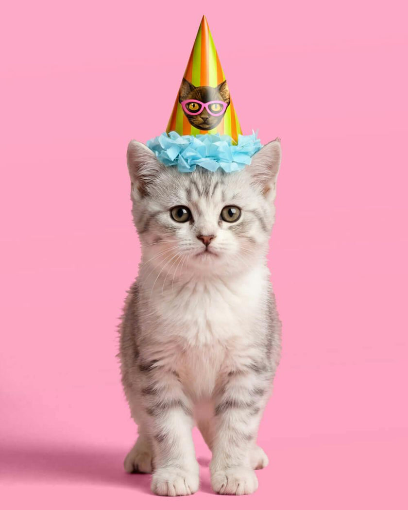 Cat Mini Party Hats - 10 paper hats
