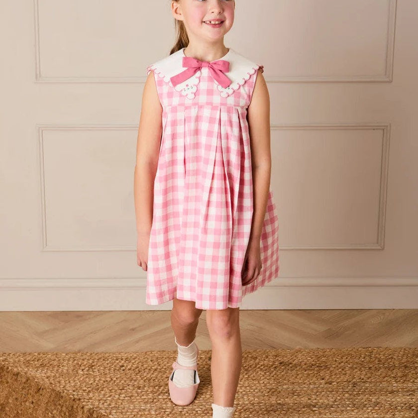 Catherine Gingham Embroidered Sleeveless Trapeze Dress in Pink (12mths- 10yrs)