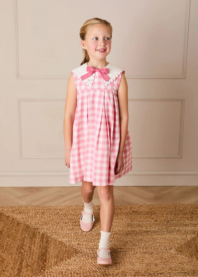 Catherine Gingham Embroidered Sleeveless Trapeze Dress in Pink (12mths- 10yrs)