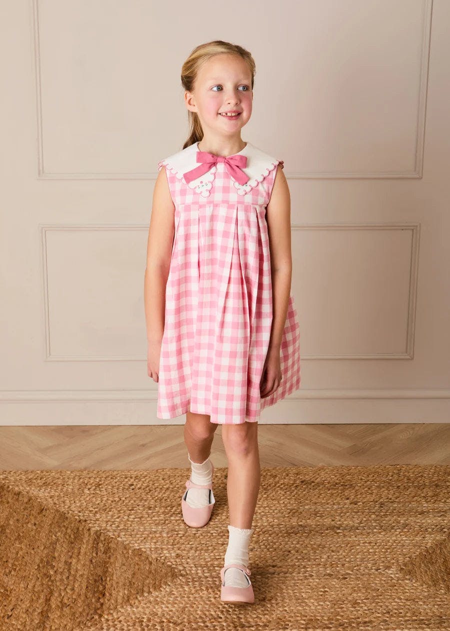 Catherine Gingham Embroidered Sleeveless Trapeze Dress in Pink (12mths- 10yrs)