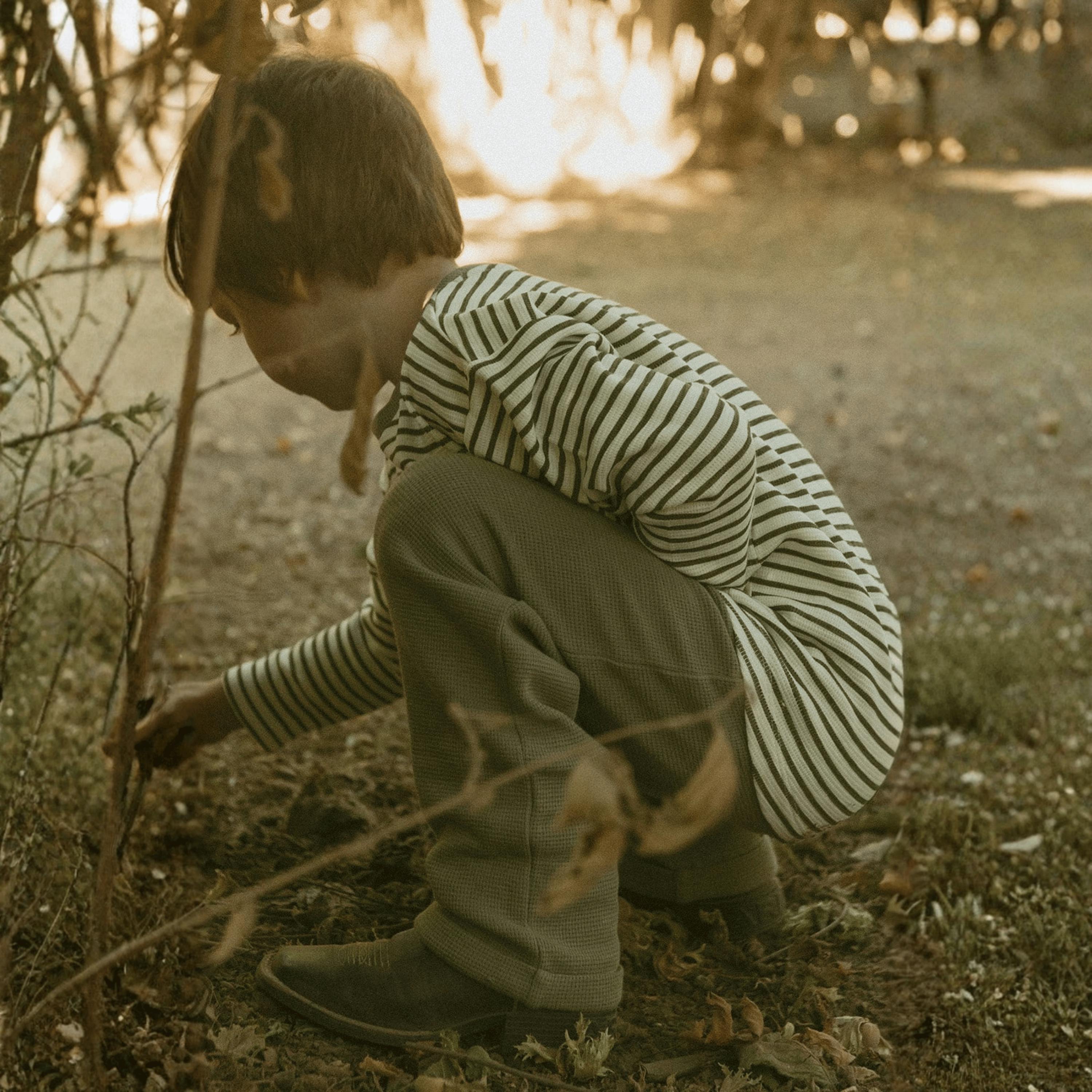 Organic Tee & Foldover Pants Set - Olive Stripes