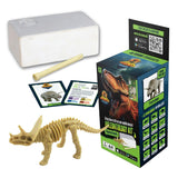AR Dino Explorer Combo: Triceratops - XL & Brick