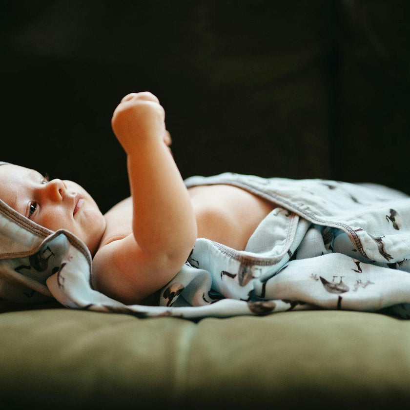 Goose Bamboo Hooded Swaddle Blanket