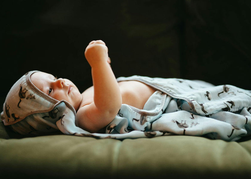 Coastal Crab Hooded Swaddle Blanket