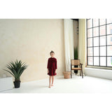 Leila dress (garnet velvet)