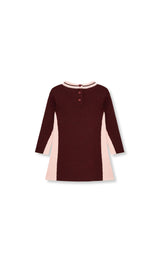 Colorblock Skater Dress (2T-4T)