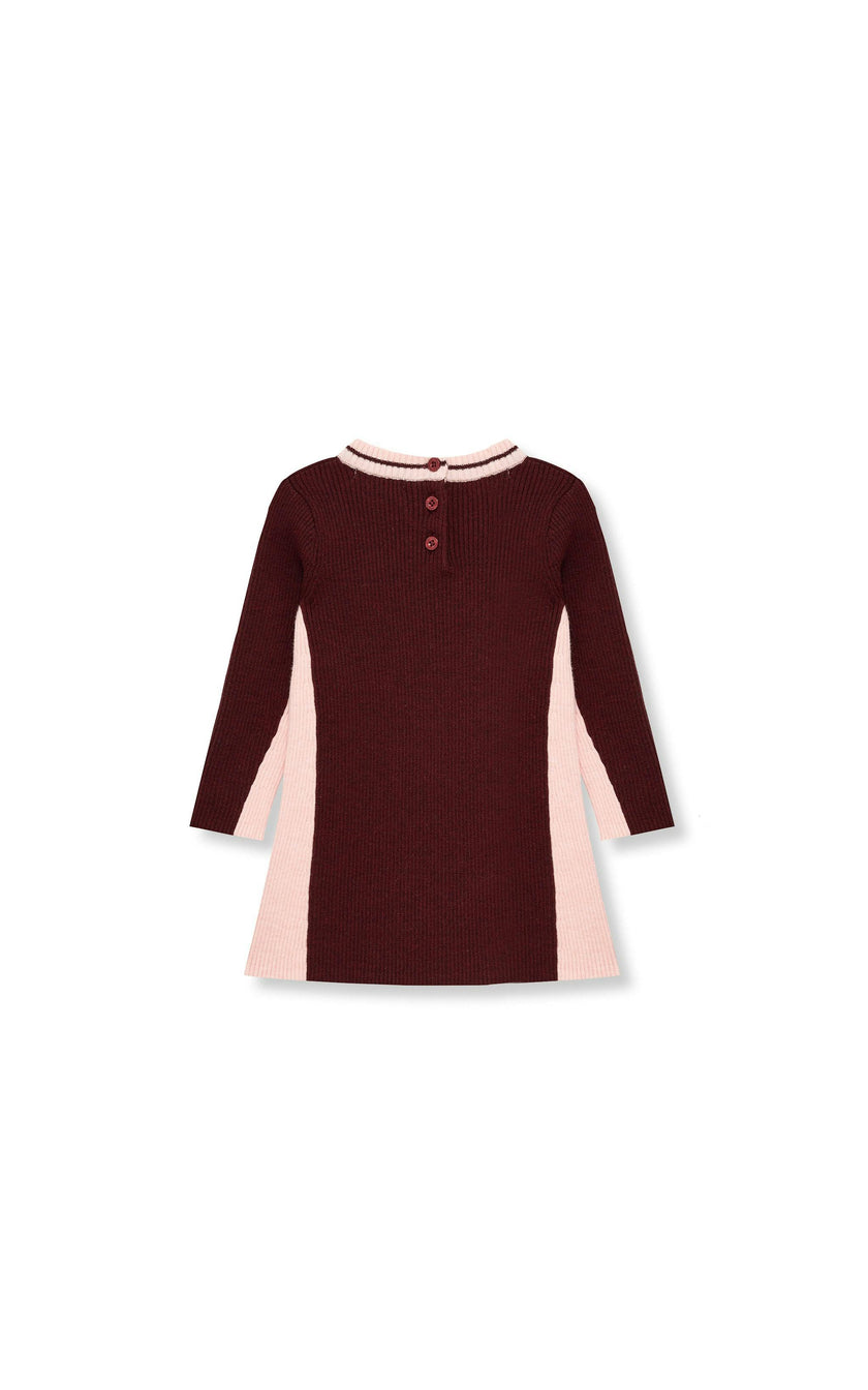 Colorblock Skater Dress (2T-4T)
