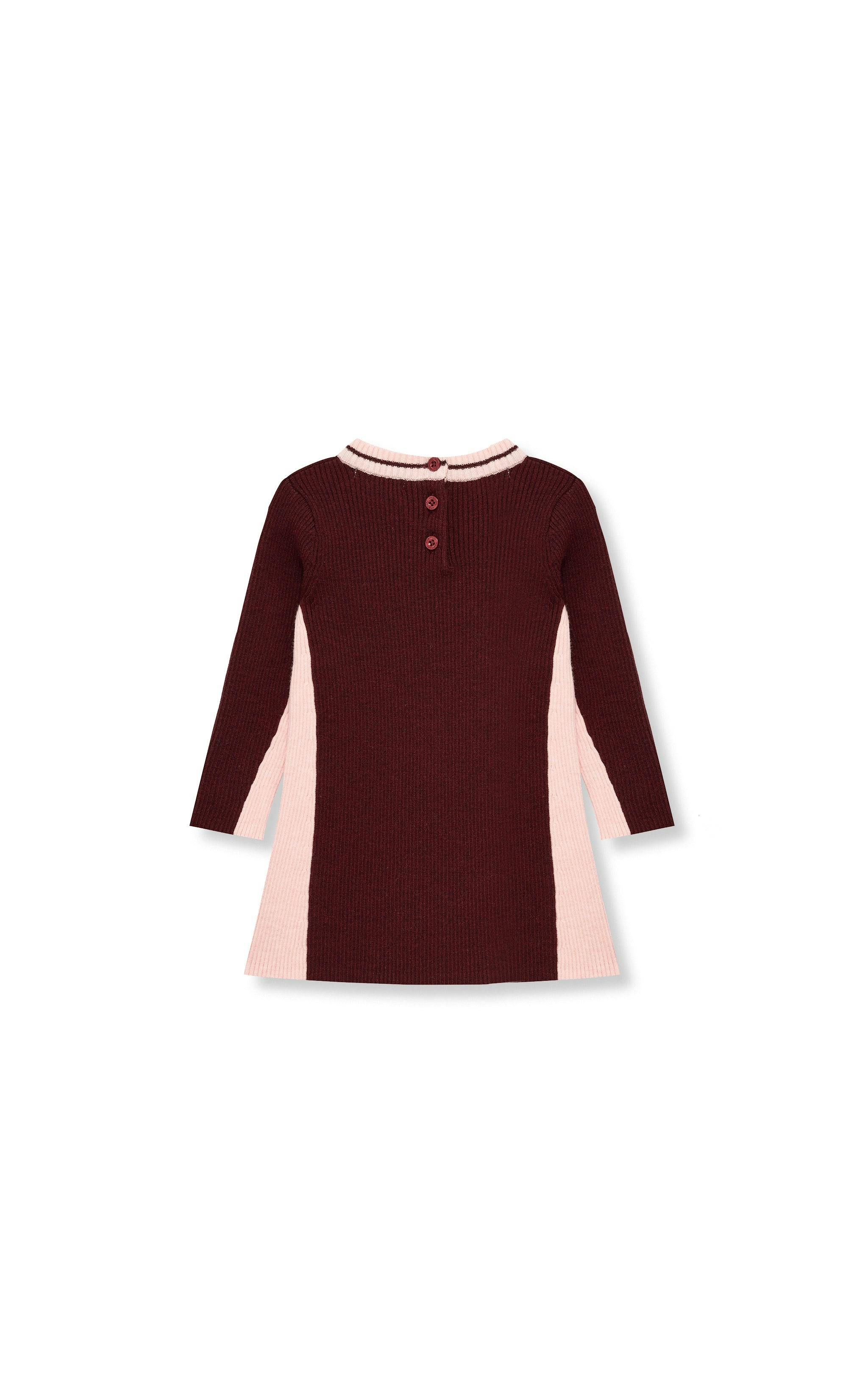Colorblock Skater Dress (2T-4T)