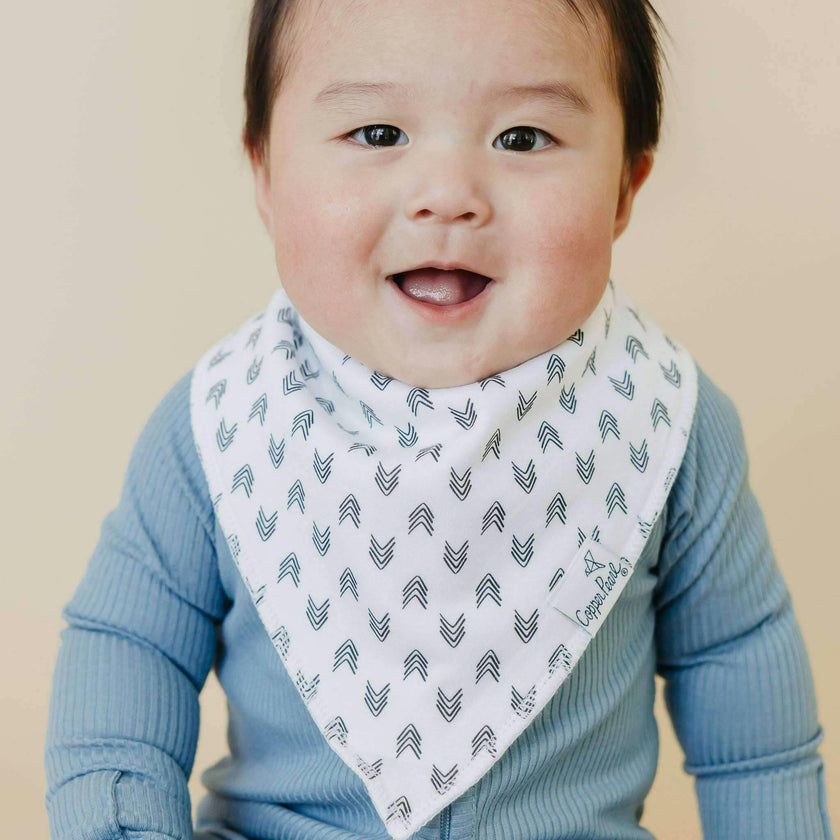 4 Pack Baby Bandana Bibs - Alta