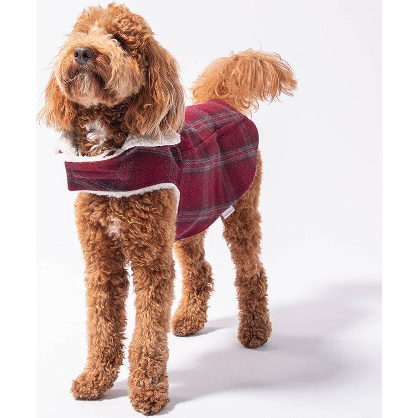 Modern Classic Coat, Plaid