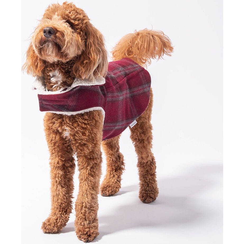 Modern Classic Coat, Plaid
