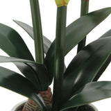 24" White Amaryllis Arrangement in Pot