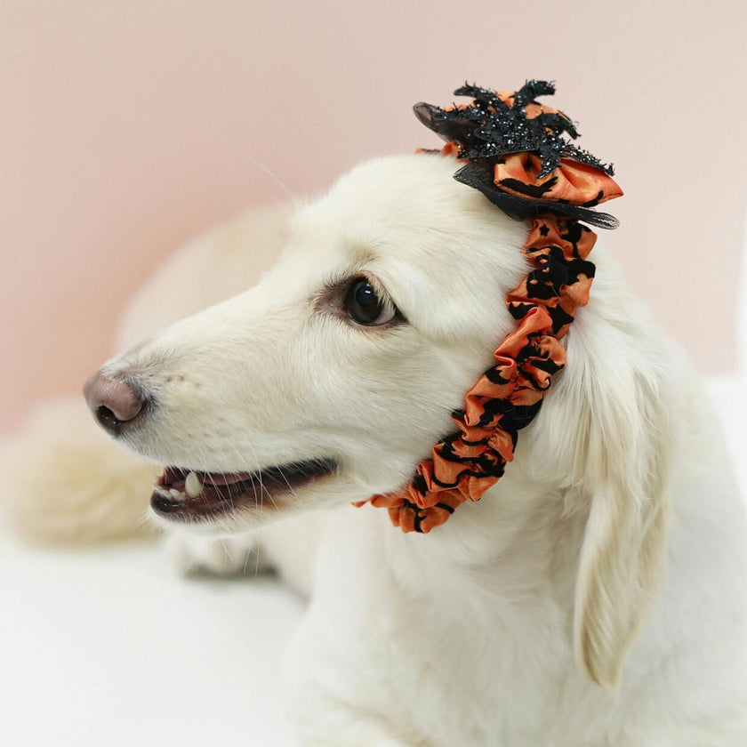 MAO WITH SPARKLE SPIDER HEADBAND, Orange