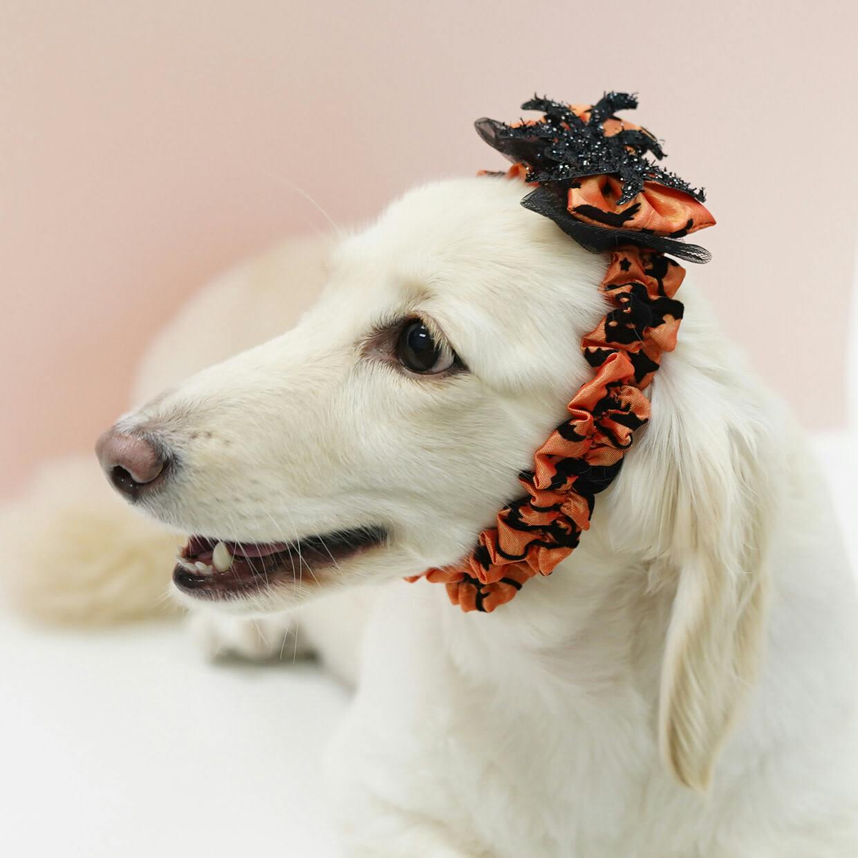 MAO WITH SPARKLE SPIDER HEADBAND, Orange