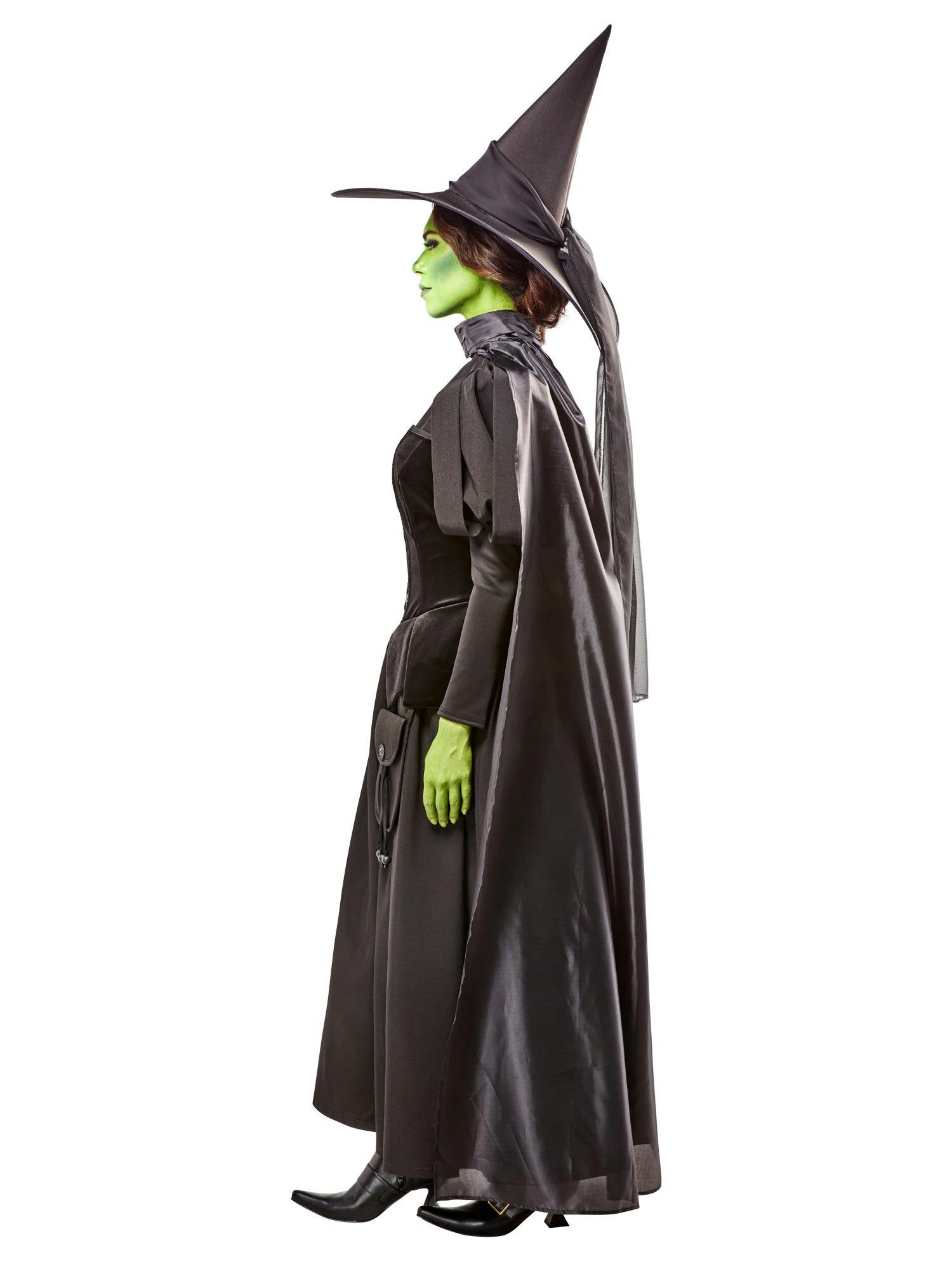 Women's The Wizard of Oz Wicked Witch Costume - Deluxe