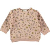 Signs of Autumn Pullover