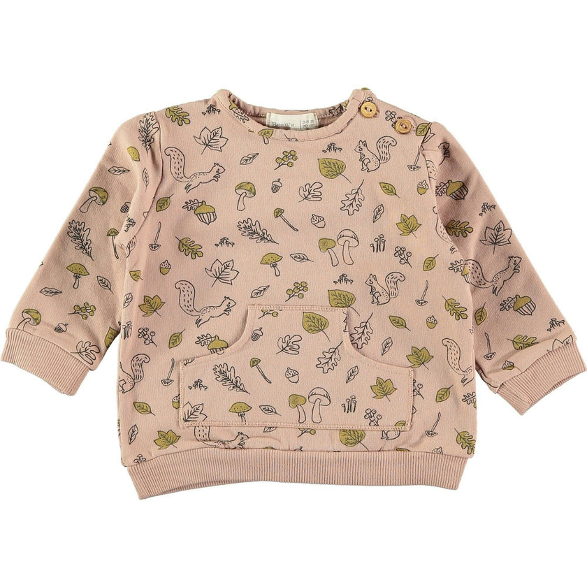 Signs of Autumn Pullover
