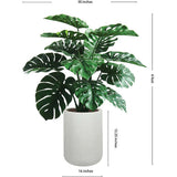 4' Monstera Plant in Modern Gray Planter