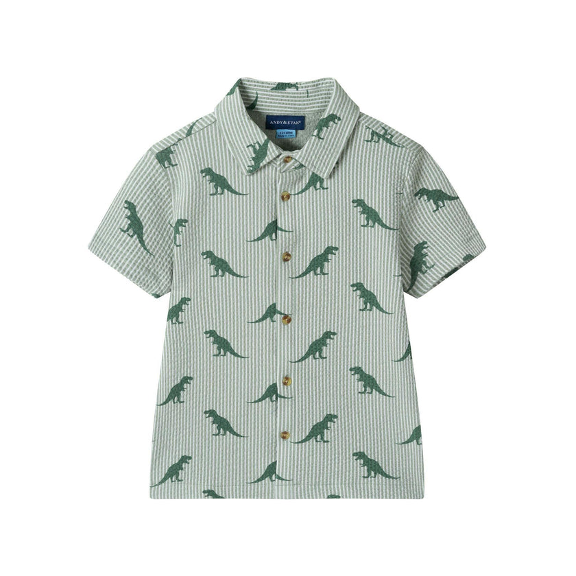 Boys Short Sleeve Cabana Set | Green Stripe Dino