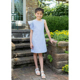 Seersucker Flutter Sleeve Dress