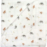 Blanket