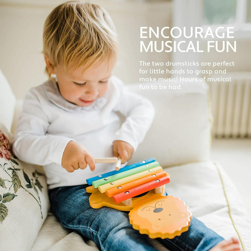 Orange Tree Toys: Xylophone: - Wooden Musical Instrument Toy
