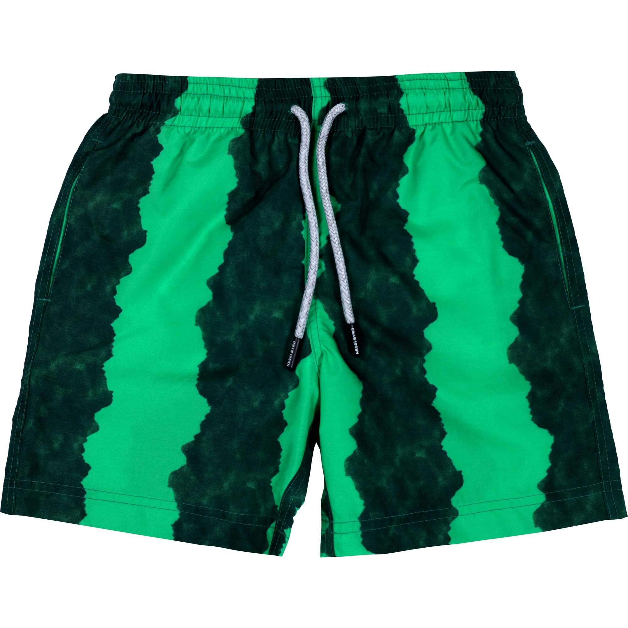 Kids' Green-Black Stripe Quick-Dry Swim Trunks