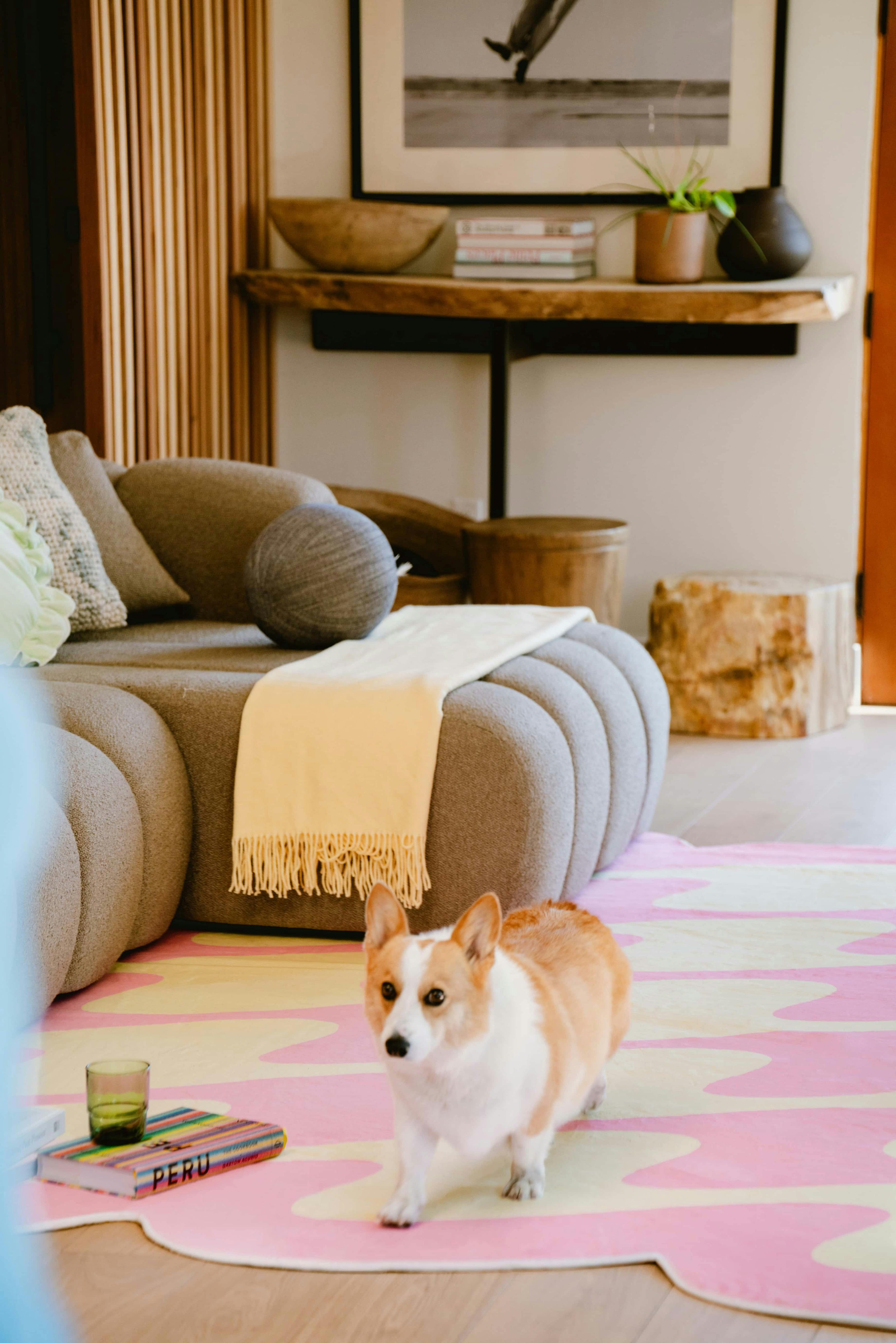 Pastel Irregular Shaped Wavy Rug by Johann Banta