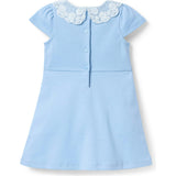 Lace Collar Ponte Dress