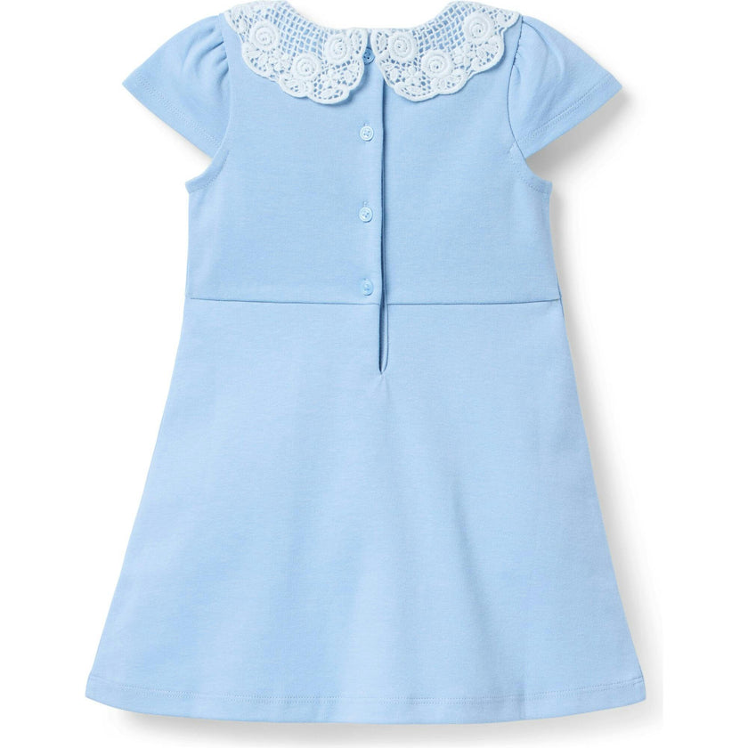 Lace Collar Ponte Dress