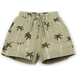 Palm Tree Print Woven Shorts