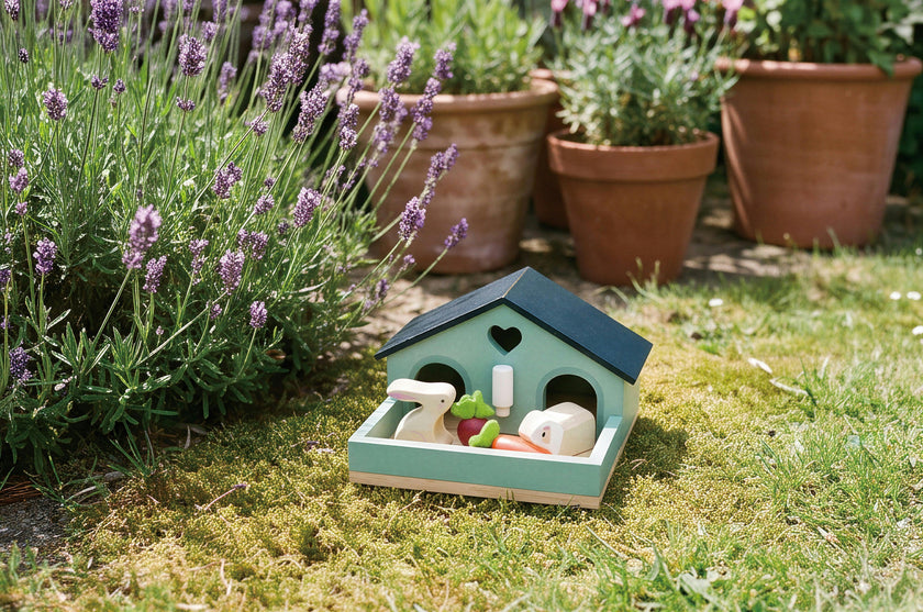 Pet Rabbit Set