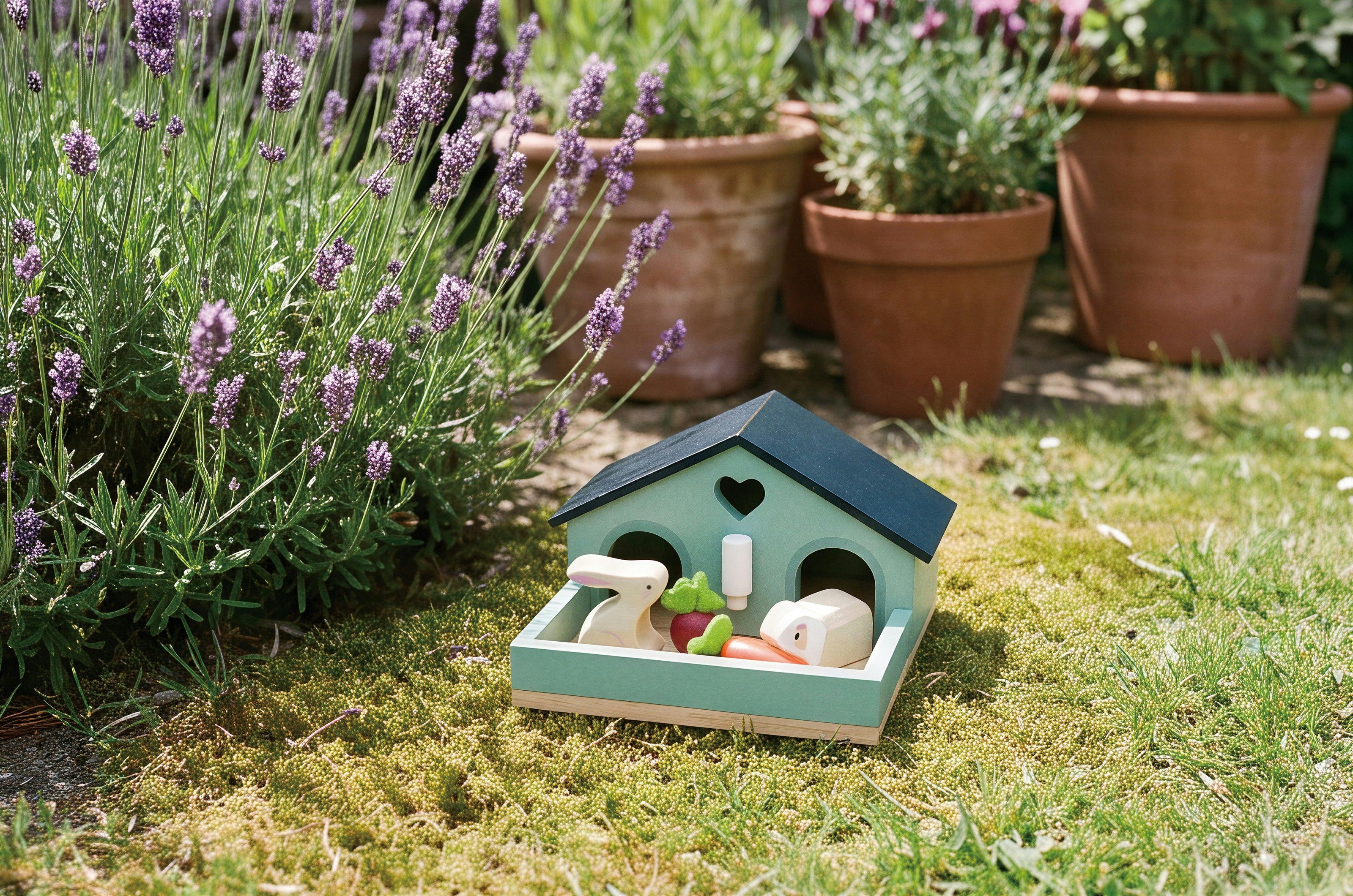 Pet Rabbit Set