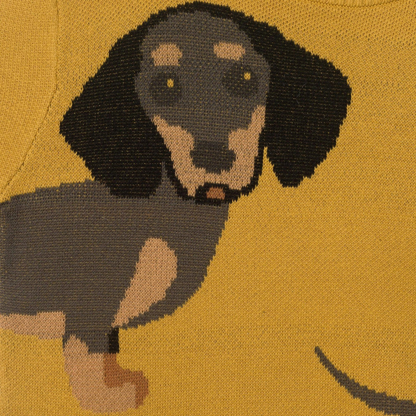 Graphic Sweater | Hot Diggity Dog