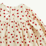 Magnetic Dress
