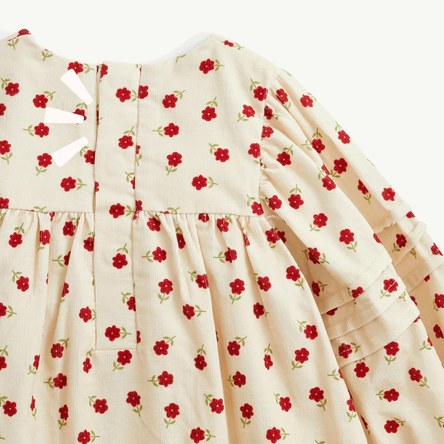 Magnetic Dress