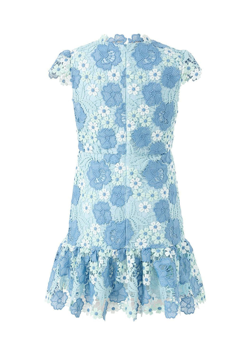 Jade Embroidered Mini Dress