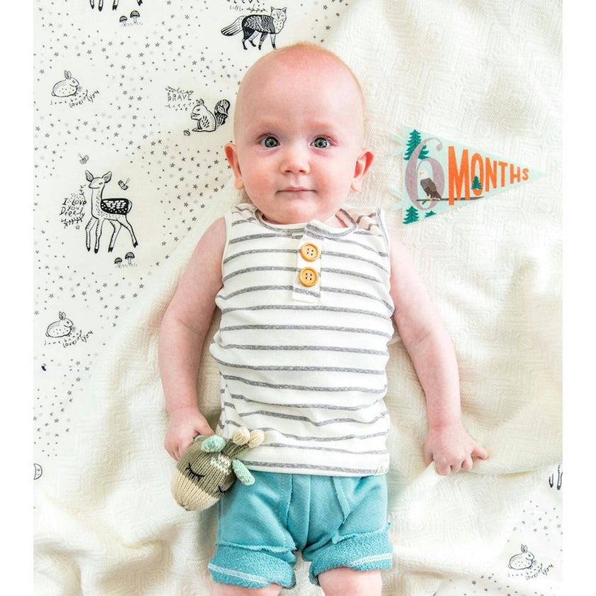 Little Camper Petit Milestone Pennants