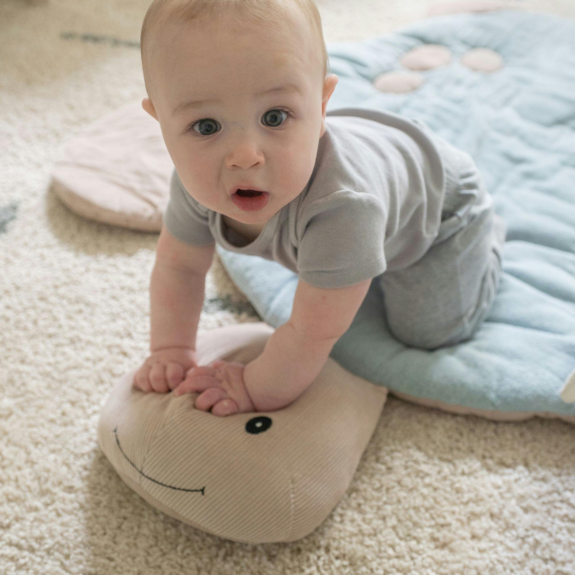 Cove Sea Life Turtle Play Mat