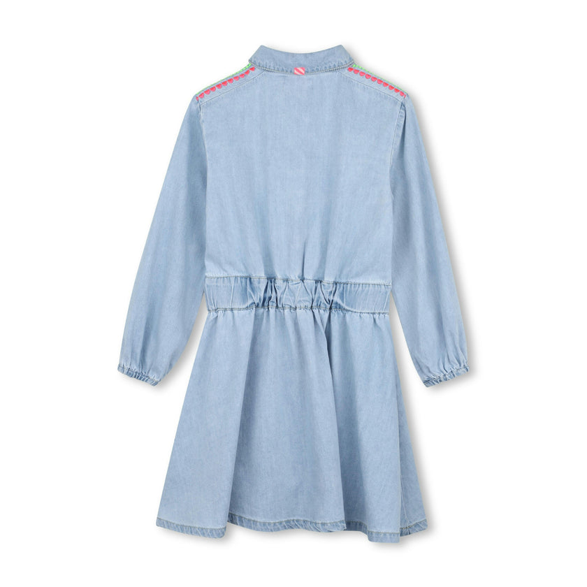 Light Denim Embroidered Dress