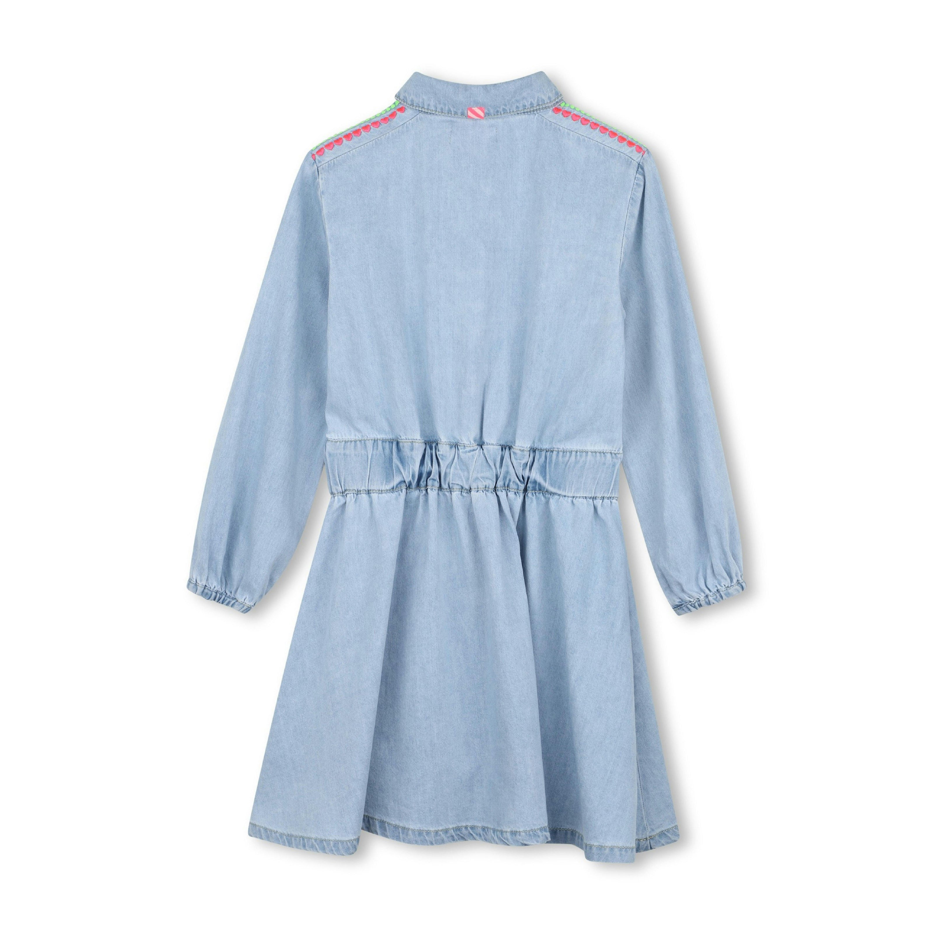 Light Denim Embroidered Dress