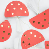 Mushroom Crackers