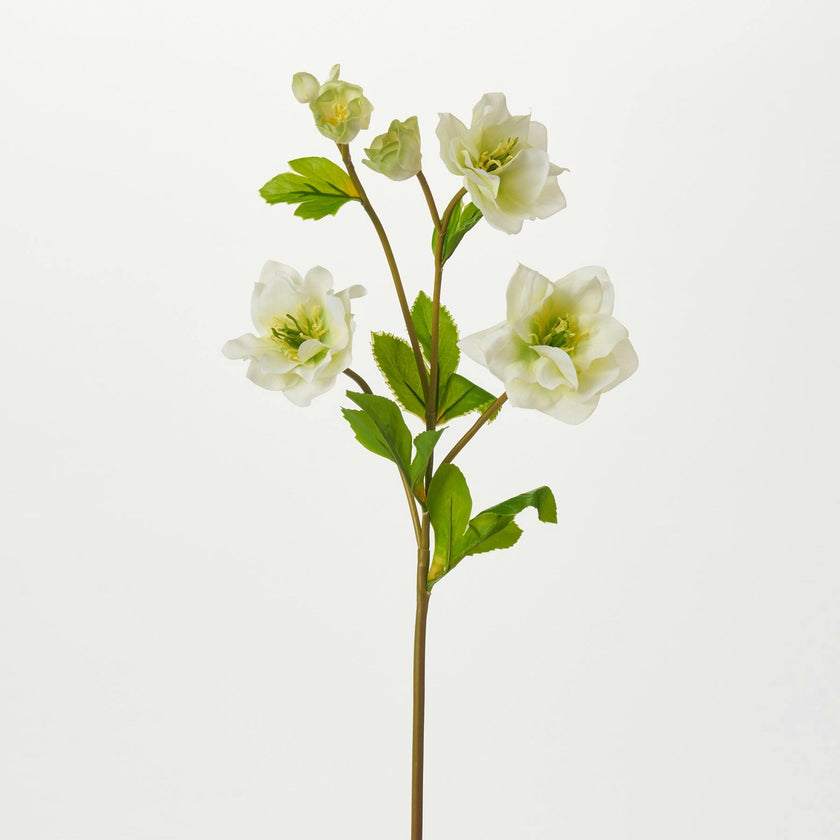 Real Touch Helleborus Stem 24" Single Real Touch Faux Floral Spray