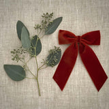 Big Velvet Bow, Rust
