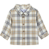 Baby On Shirt