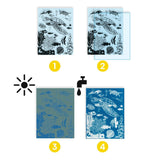 Ultramarine Cyanotype Kit