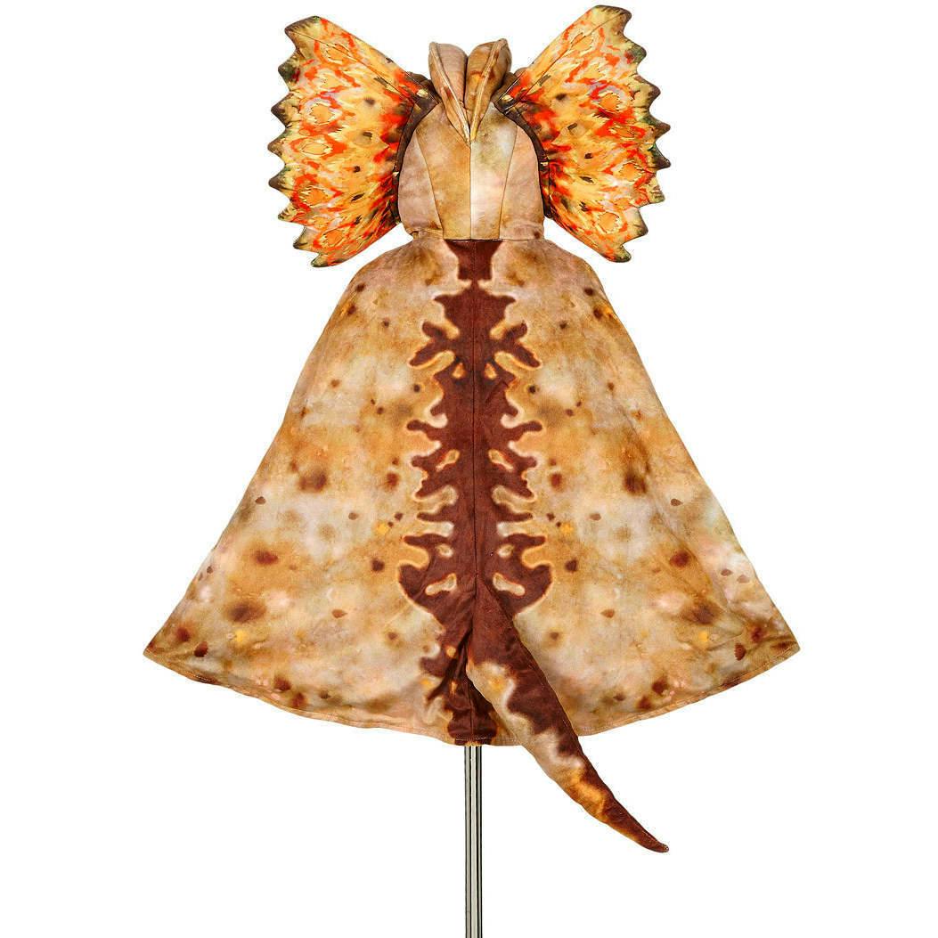 Dilophosaurus - Cape