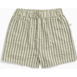 Striped Cotton Shorts
